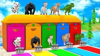 Long Slide Game With Cow Elephant Gorilla Hippopotamus Tiger 3d Animal Game Funny 3d Animals