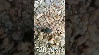 poco X3 micro camera video test|| 720 pixel video by poco X3 camera||#shorts