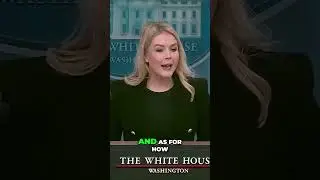 Trump's Peace Strategy  U S  Military Options Explained