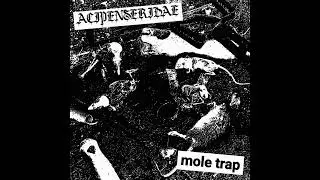 ACIPENSERIDAE - mole trap (Full Album) [2023 Harsh Noise/Harsh Noise Wall]