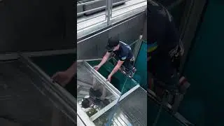 Ultraviolet Protective Film