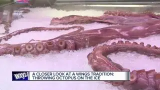 A closer look at Wings tradition of throwing octopus on the ice