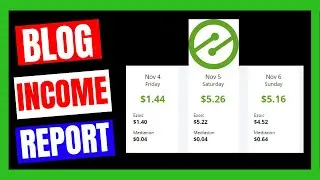 Ezoic Earnings | Blog Income Report