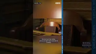 Кентон Гартрелл обвинен в домашнем насилии.