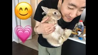DO YOU LOVE BUNNY? LOVE THIS ONE / Makkah Live | Mecca Live | The Holy Quran Channel