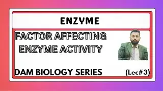 Factor Affecting Enzyme Activity | Enzyme Concentration | Substrate concentration | Temperature | PH