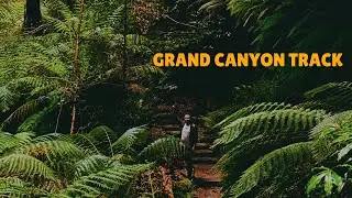 Grand Canyon Track