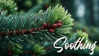 Instrumental Praise Music ~ Soothing Worship Piano for Reflection & Peace