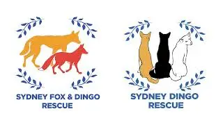 Sydney Fox and Dingo Rescue Virtual Tour 2022