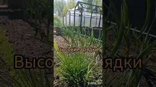 В нашем грунте грядки только такие!