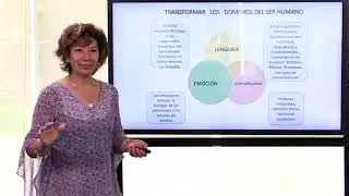 En qu&eacute; consiste el proceso de coaching
