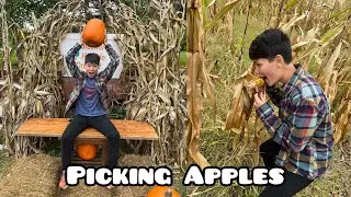 Picking Apples at the Apple Orchard | Hofackers Orchard