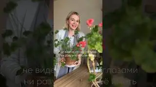 Желтая герань зонартик хулиганка, в научение купила ей удобрение трёх цветов #герань #geranium