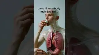 Eat egg benefits internal body view x-ray #health #facts.