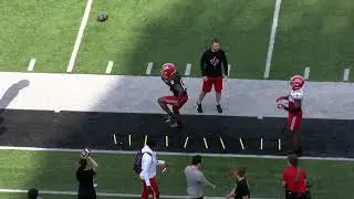 UL RB INDY