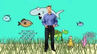 What Is Bycatch? | A Cartoon Crash Course