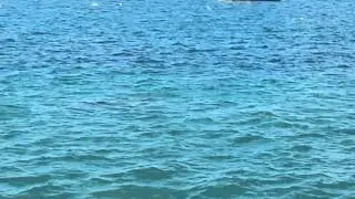 20120707_143302.mp4