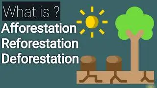 What is afforestation, reforestation and deforestation | Fo Dillema