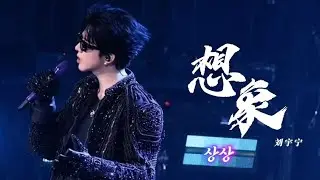 [한글가사]《想象》 상상 /류우녕베이징콘서트/刘宇宁北京演唱会/2025.11.15