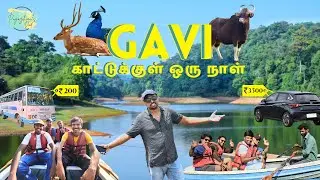 Gavi Trip Tamil | Gavi Forest Kerala | Gavi Forest Package 🌳 ⛺ | Gavi Forest Stay | Gavi Eco Tourism