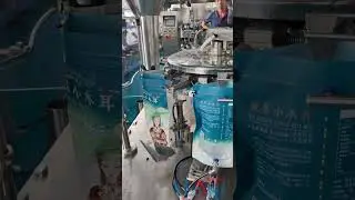 Wood Ear Mushroom Premade Bag Packing Machine | Multihead Weigher for Solid Granules