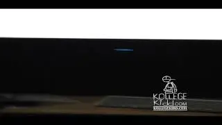 P. Rico - War (Teaser) | 'Welcome To JoJo World' @kollegekidd