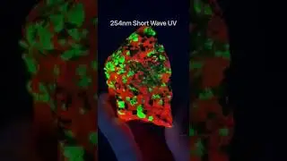 Fluorescent & Phosphorescent Willemite & Calcite with Franklinite. 254nm Short Wave UV