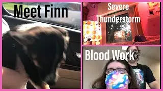Meet Finn, Blood Work & Severe Thunderstorm (6/24/21-6/25/21) VLOG 649