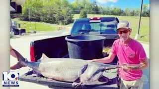 Largest fish ever caught in Tennessee