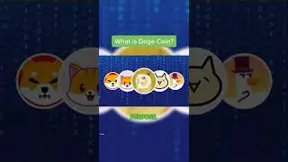 DOGECOIN Billy Markus Jackson Palmer #fyp #dogecoin #crypto