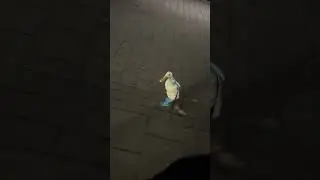What Happens When a Duck Gets Boots?