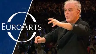 Astor Piazzolla - Libertango (Barenboim, Orquesta Filarmónica de Buenos Aires) | Tango Night (15/18)