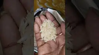 BASUMOTI BASMATI RICE EATING RAW RICE EATING 🍚🍚🍚🌾🌾