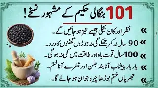 Best Luqman Hakeem Quotes/Danai ki batain/ World of Wisdom/Amna Quote/Hikmat Ki Batain/Wisdom quotes