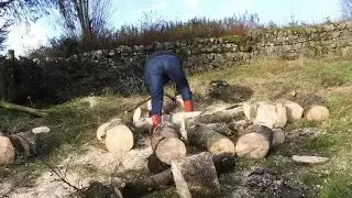 Husqvarna 380cd, felling, falling , sned, (delimb,) Buck, Lead Home,,,Knackered.