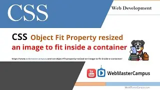 CSS Object Fit Property Resized an Image to Fit Inside a Container