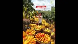 china Chilli mango  🥭 #shorts #viral
