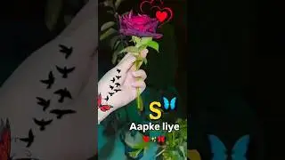 Amazing S Love Status with HD Video 🎥 #nameart #trending #lovestatus #foryou #fyp #viral #shorts