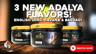 3 New Adalya Shisha Flavors - English Lord, Havana, and Bagdadi