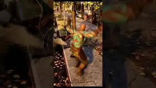SPIDERMAN 2 &ndash; Every Boss Defeated (Complete Boss Fight Experience) &ndash; [4K60FPS]