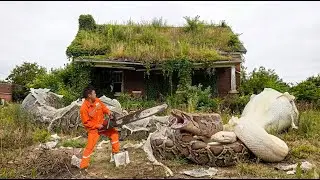 Giant pythons invade dilapidated house - Four members of this family mysteriously disappeared!
