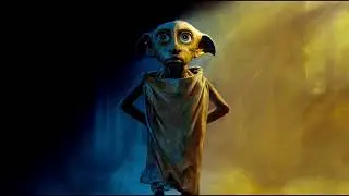 More Than a House-Elf: The Inspirational Journey of Dobby | Half Hour Harry Potter Cinematic Music