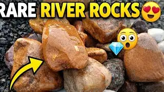 Rock Hounding in River 🏞️  Beautiful Natural Stones Found 