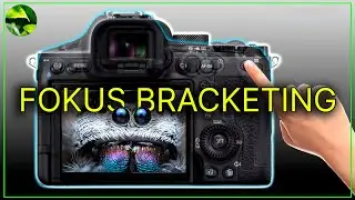 Scharfe Fotos mit Fokus Bracketing: Sony A7V & CO Anleitung