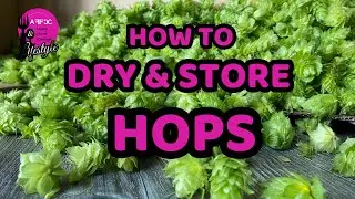 Elevate Your Brewing | Tips for Harvesting, Drying & Storing Hops