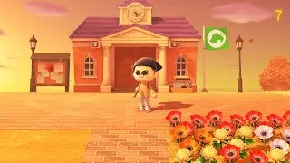 moving Rodeo to his new home
