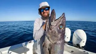 I Made A Mistake - Catch & Cook - Strange Deepwater Fish