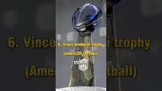 Top 10 Most Expensive Sports Trophies In The World #sports