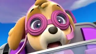 Marshall And Skye Face Their Fears - Paw Patrol