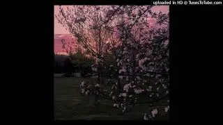 stoopidxool x boofpaxkmooky type beat 